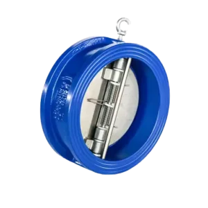 PN10 PN16 CLASS 125 Check Valve