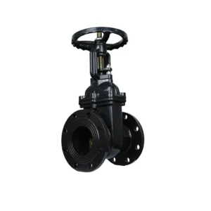 PN10 PN16 Flange Type Rising Gate Valve Soft Sealing Ductile Cast Iron Rising Stem Gate Valve