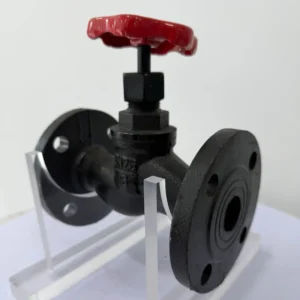 PN10 PN16 PN20 Cast Iron Globe Valve for Medium Flow Reliable Sealing for Industrial Use