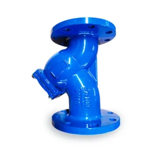PN16 4 Inch Ductile Iron Y Type Strainer Flanged Valve Manual Check Structure High Temperature Medium