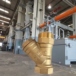PN16 Brass Y Strainer Valve