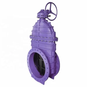 PN16 DN500 DN800 ANSI API BS5163 F4 Slab Ductile Iron Manual Water Resilient Flange Gate Valve Bypass