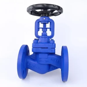 PN16 PN25 PN40 Bellow Sealed Globe Valve