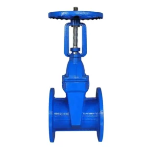 PN40 Ductile Iron Manual Handwheel Gate Valve With Non Rising Stem And Soft Seal Acid Media DN50 DN300