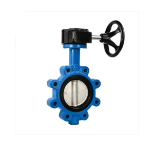 PTFE Seated Butterfly Valve