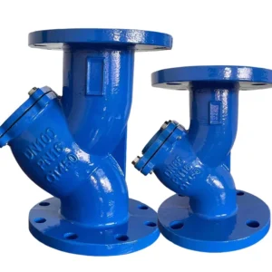 Pn16 Cast Ductile Iron Industrial Flanged Y Type Strainer Filter for Water