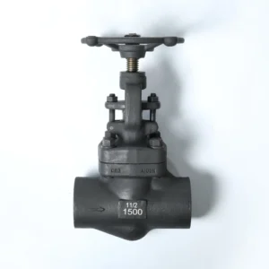 Precision Forged A105 Socket Welded 1500 Pound Globe Valve Customizable Manual Water Gate Structure OEM Support