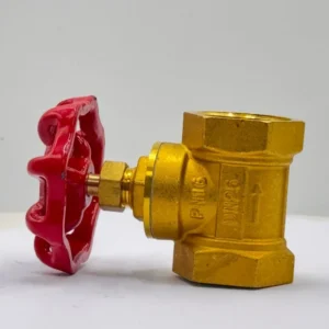 Premium Brass Globe Valve Manual Water Shutoff OEM Customizable Corrosion Resistant Long Service Life Leak Proof Sealing 1 NPT