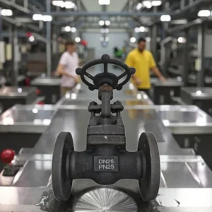 Professional Manufacturer High Shutoff Check Valve Globe Valve Carbon Steel 304 316 DN15 2000 Water Compatible Complete