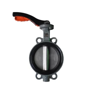 Replaceable Soft Seat Wafer Butterfly Valve