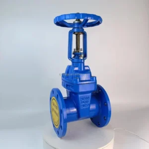 Rising Stem Cast Iron Gate Valve BS5163 Resilient Seal Gate Valve Flanged Wedge Gate Valve 4 Inch Gate Valve