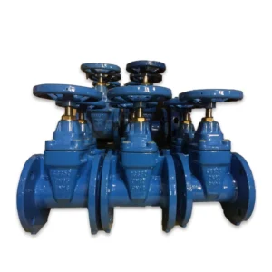 Rotating Rod Gate Valve Cast Iron Check Valve Butterfly Valve (suitable for Drainage, Fire protection Systems, Etc.)