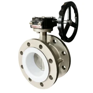 Rust Proof Worm Gear Turbo Manual DN50 500 PN16 304 Stainless Steel PTFE Sealing Fluorine Flanged Butterfly Valve