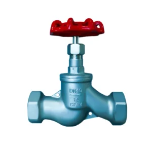 S Type Thread Manual Ball Valve Stop Valve High Pressure DN15 DN100 Stainless Steel Globe Valve for Gas