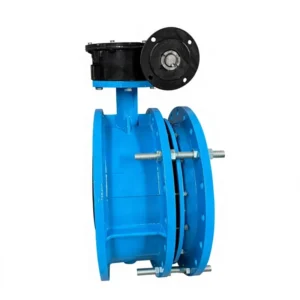 SD341X Worm Gear Flange Butterfly Valve Expansion Joint Ductile Iron Soft Seal Medium Temperature Water Conservancy Use