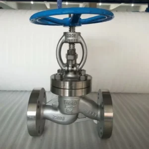 SS 304 304L 316 Advanced Duplex RTJ Flange Stainless Globe Valve Platforms Extreme Corrosion Protection