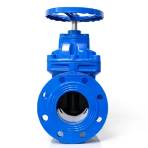 SS Telescopic Adjustable Length Expansion Joint Flange Worm Gear Butterfly Valve Manual PN16 EPDM Seat Water Supply Sewage