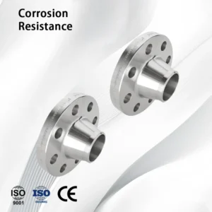 SS304 316 Stainless Steel WN Forged Weld Neck Valve Fitting Flange ANSI