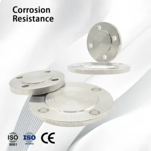 SS304 ASTM Customise High Temperature Resistant Blind Floor Flange for Tank