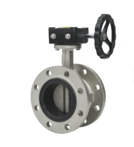 SS304 Double Flanged Butterfly Valve OEM EPDM Seal Ring for Water DIN BS Standard Electric Actuator Worm Gear Operation