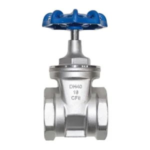 SS304 SS316 Stainless Steel Soft Seal Gate Valve DN15-DN300 PN16 EPDM NBR PTFE CE ISO Water Food Pharmaceutical