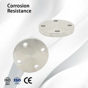 SS304/SS316L EN Customise High Temperature Blind Flange for Steel Pipe