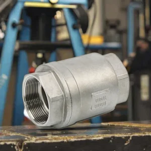 SS304 Vertical Check Valve Stainless Steel Female Threaded One Way Non Return Valve Anti Backflow Valve