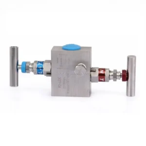 SS316 1 2 Inch NPT Manual Power 6000psi 2 Way Block Bleed Needle Valve Manifolds ISO 9001 CE Certified High Temp Gas