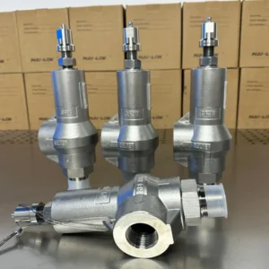 SS316 Spring Loaded Safety Relief Valve 1inch MNPT x FNPT Threaded 3000 PSI Pressure Relief Valve for Gas Steam Pipeline