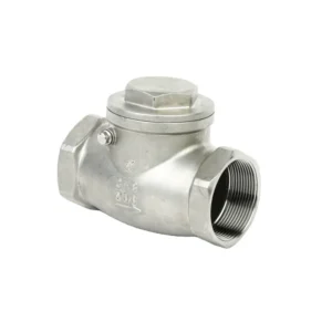 Screw End Non Return Swing Check Valve for Water