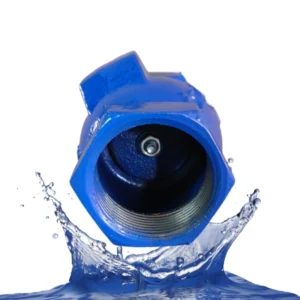 Screw Thread Ductile Iron Check Valve Normal Temperature 2 Inch Water Control Hydraulic Check Valve
