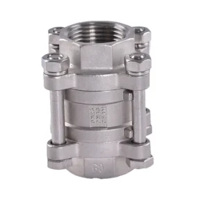 Screwed Joint 3/4″ and 1″ SS Spring Check Valve 1000 WOG BSP Thread