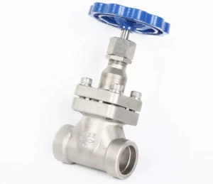 Short Stem Manual Cryogenic Gate Valve for Water High Temperature Shutoff Control 1 2 316SS