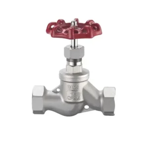 Shutoff Valves Manual Control Stainless Steel DN15 SS201 Thread Screw End Globe Valve Shutoff Valves