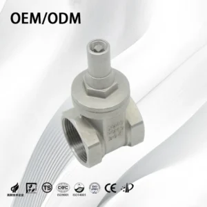 Soft Seal Gate Valve Stainless Steel Locking Gate Valve CE ISO Certified PN16 PN25