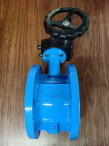 Soft Sealed Flange Butterfly Valve Cast Iron Cast Steel Stainless Steel Manual and Electric Wafer Butterfly Valve