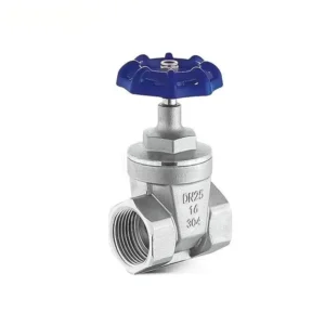 Soft Seated High Strength Gate Valve SS304 SS316L DN15-DN50 PN10 PN16 EPDM PTFE Rising Stem OEM Private Label CE ISO9001 Factory