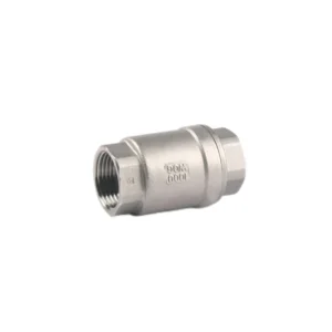 Spring Loaded Check Valve 201 304 Stainless Steel Wire Buckle Vertical Check Valve for Petrol Chemical Water Power Application