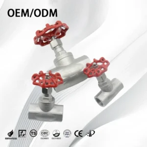 Ss304 NPT Shutoff Valves Stainless Steel Female Threaded Globe Valve for Water
