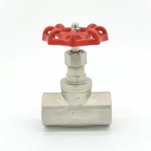 Stainless Steel 201 304 316 Globe & Gate Valves Handwheel Manual Shutoff Water BSP Pipe Fittings DN8 DN100