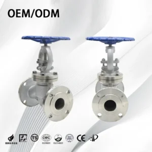 Stainless Steel 304/316 Industrial Grade High Temperature ANSI 150 Globe Valve for Water Stop