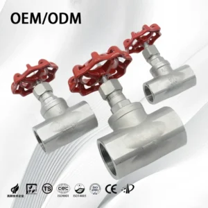 Stainless Steel 304 316 Manual Globe Control Valve Thread Actuated Handwheel Shutoff Valves for High Pressure Water