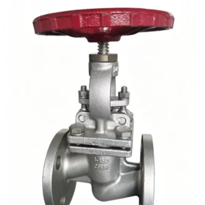 Stainless Steel 304 Flanged Globe Valve ISO DIN Standards 15 NB PN 16 Pneumatic/Manual Control for Water Gas Chemical Industry