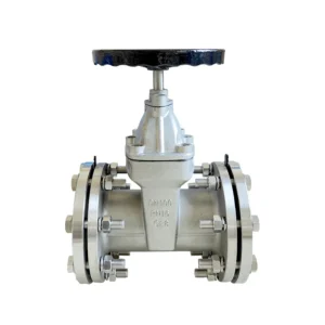 Stainless Steel 304 Manual Soft Seal Gate Valve Z45X DN50 DN350 Customizable with Flange Bolts and Gaskets for Water Supply