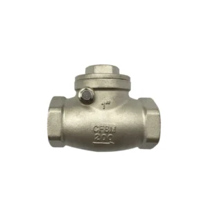 Stainless Steel 304 Wire Check Valve Threaded NPT Swing Check Valve for Water Oil Gas Pipeline
