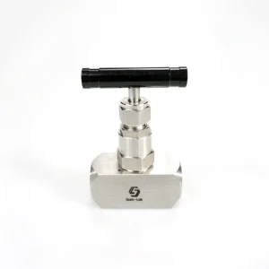 Stainless Steel 6000PSI High Pressure Angle Straight Needle Valve