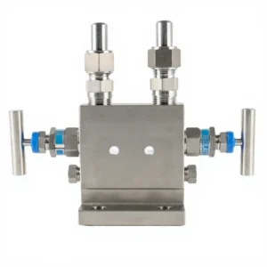 Stainless Steel 6000psi T-Type Valve Manifolds 304/316 2way/3way/5 Way Flange End Manifold Valve