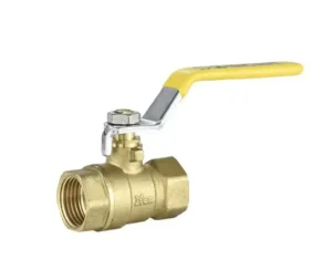 Stainless Steel Ball Valve 2000 PSI