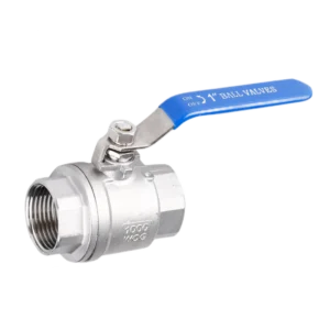 Stainless Steel Ball Valve 304 316 2pc 2 Way Screw Ball Valve