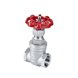 Stainless Steel CF8M Npt 800 Wog Gate Valve